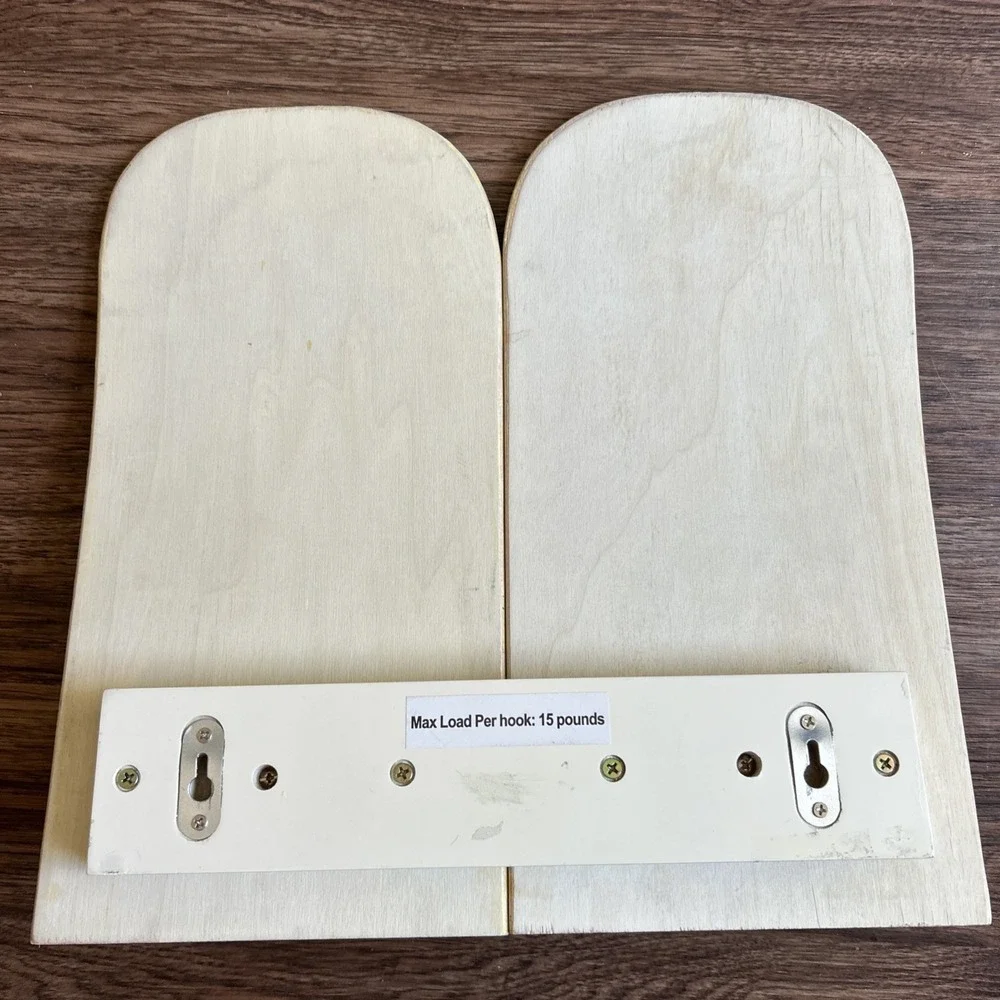 Pottery Barn Teen Wall Mounted SKATEBOARD HOOKS Decor‎ Skater Art Zio Ziegler